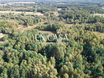 Działka Sprzedaż Kuklówka Radziejowicka Zalana Łąka