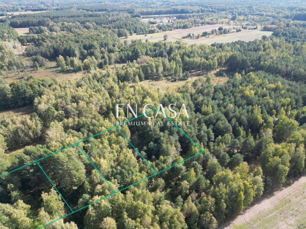 Działka Sprzedaż Kuklówka Radziejowicka Zalana Łąka 3