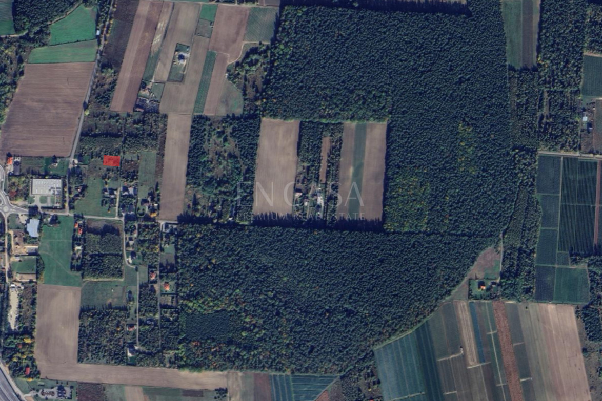Działka Sprzedaż Załuski 1