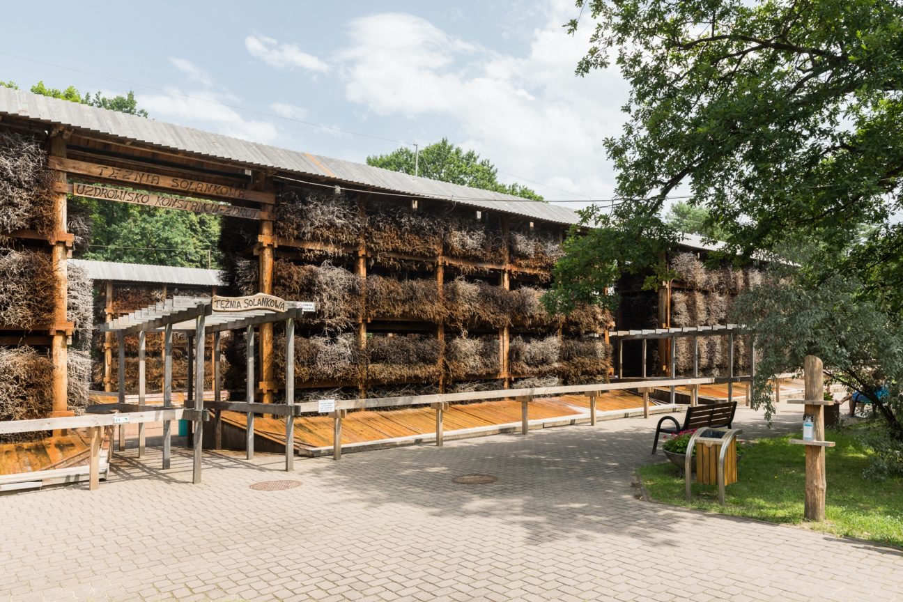 Konstancin Jeziorna - Park Zdrojowy (1)